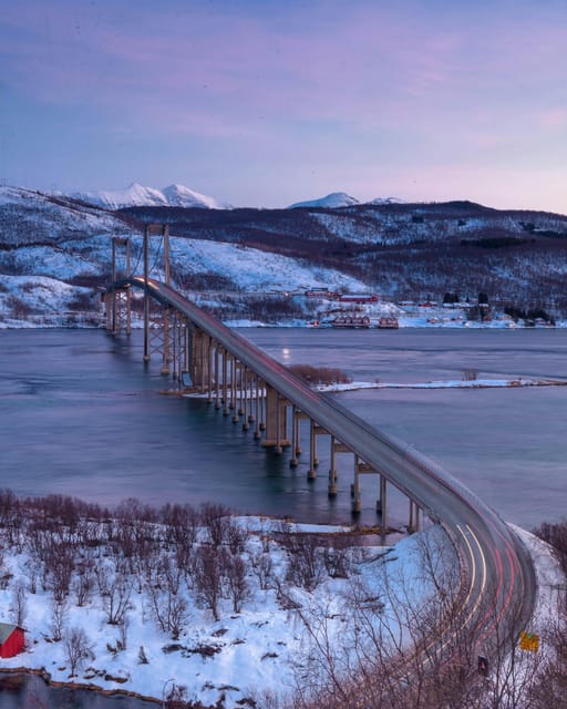 From Kiruna: Narvik City and Fjord Day Trip - The Guide Makes the Day: Stories, Humor, and Care