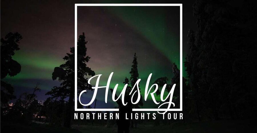 From Kiruna: Northern Lights Guided Husky Sledding Adventure - Key things to know before you go