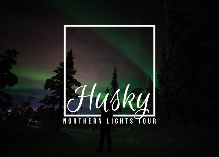 From Kiruna: Northern Lights Guided Husky Sledding Adventure - Kiruna at night: what this 3.5-hour husky run really feels like