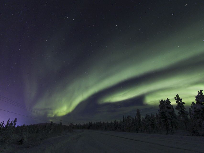 From Kiruna: Northern Lights Guided Husky Sledding Adventure - Getting from Kiruna to Kalixforsbron, plus your pickup options