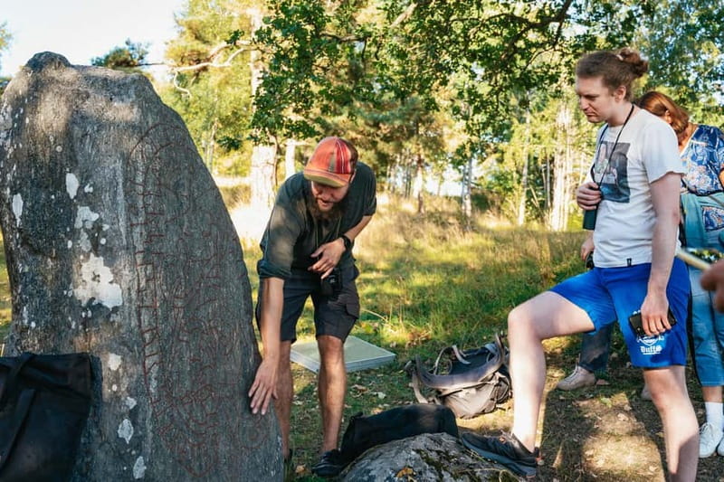 From Stockholm: Moose & Wildlife Safari with Campfire Dinner - Getting out of Stockholm fast, then into real forest
