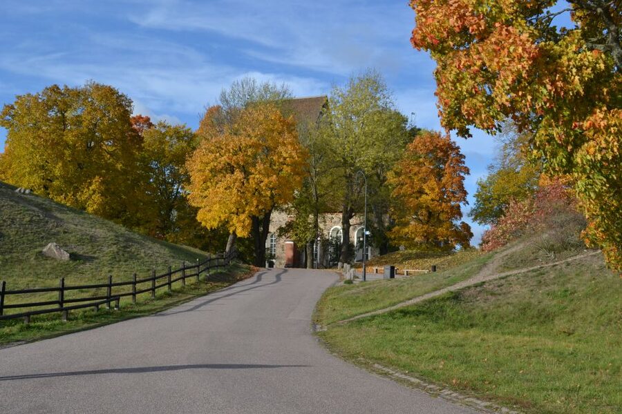 From Stockholm: Uppsala and Sigtuna Viking Sites Tour - Price and value: is $235 a fair deal for a 9-hour guided loop?
