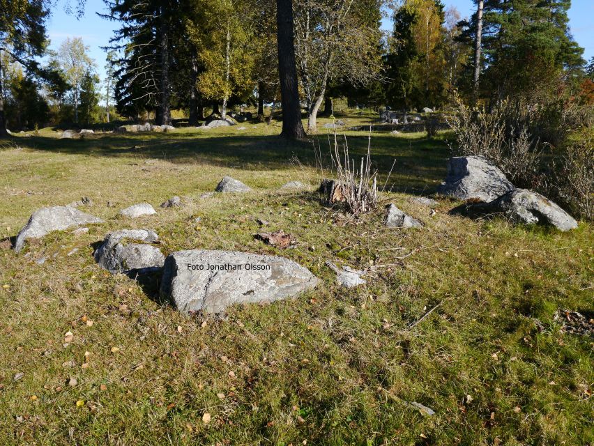 From Stockholm: Viking Culture and Heritage Small Group Tour - Book It or Skip It?