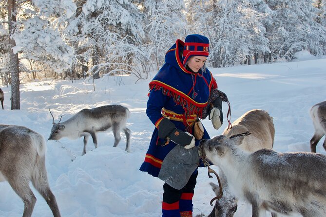 Full-Day Reindeer Tour with Pickup in Kiruna - 7 Hours of Sámi Reindeer Life, Not Just a Sled Ride