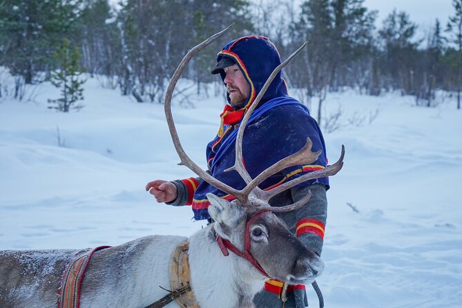 Full-Day Reindeer Tour with Pickup in Kiruna - Lunch in a Sámi Tent: Warm Food After Cold Hands