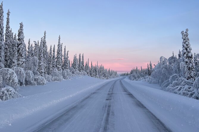 Full-Day Reindeer Tour with Pickup in Kiruna - Small Group Size, Big Difference in the Conversation