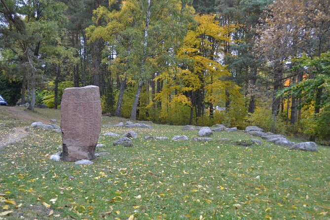 Full Day Viking Tour with Fika Swedish Coffee Break - Stop 4: Granby Farm fika, plus Viking settlement ruins