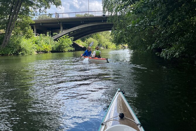 Guided Kayak Tour in Central Stockholm - The Real Weather Test: When Wind Turns It Into Work