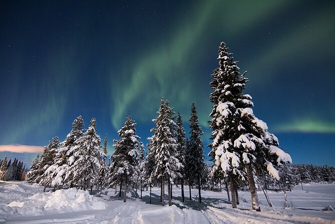 Guided Northern Lights Tour at Kiruna - Guided Aurora Chasing Within 125 km, and How You Should Think About It
