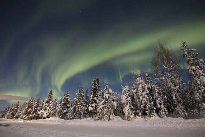 Guided Northern Lights Tour at Kiruna - Comfort, Timing, and Group Size: The Real Practical Tradeoffs