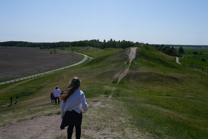 Guided tour 90min at Old Uppsala mounds and old Uppsala church - Key highlights worth planning for