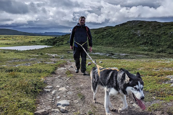 Half Day Guided Walk with Huskies - What you will see on the way toward Vålådalen and Lundörren
