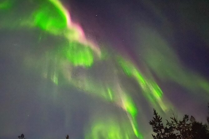 Husky Sled Ride Northern Lights Tour from Kiruna - Key Things I’d Bet You’ll Care About
