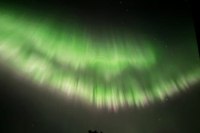 Husky Sled Ride Northern Lights Tour from Kiruna - Snow Gear Included, and How to Use It Smartly