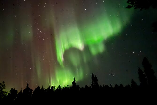 Husky Sled Ride Northern Lights Tour from Kiruna - Price and Value: Is $194.04 Reasonable for a Kiruna Aurora Tour?