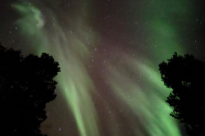 Husky Sled Ride Northern Lights Tour from Kiruna - Who Should Book This Husky Northern Lights Ride?
