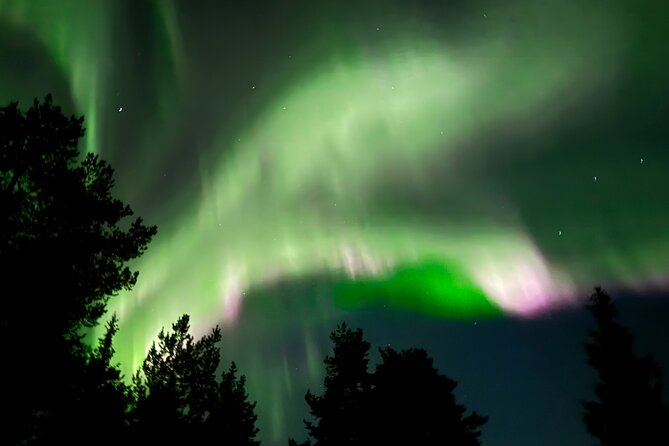 Husky Sled Ride Northern Lights Tour from Kiruna - The 3-Hour Plan, From Husky Tours Lapland to the Teepee Fire