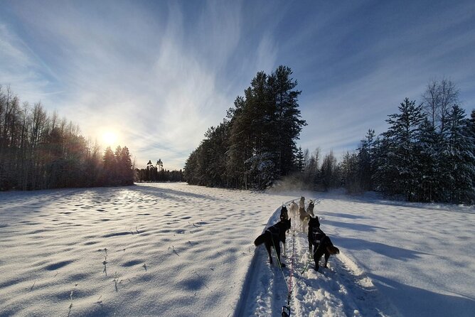 Husky Sledding Tour - Arriving at AVATRÄSK: getting suited, booted, and ready
