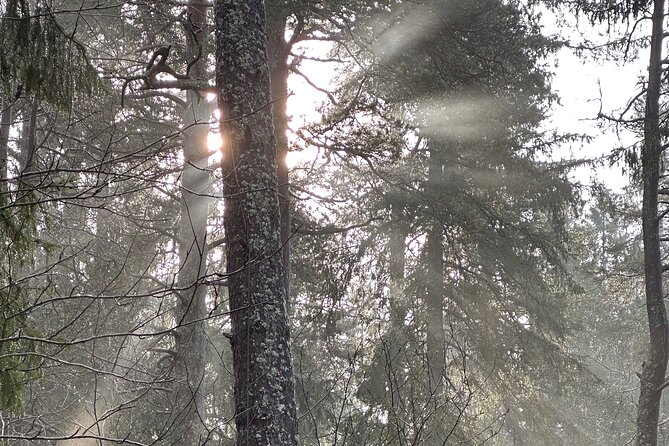 Icebathing and Sauna, Forest Hike and Fireplace Lunch - Private - Small tips to make the day smoother