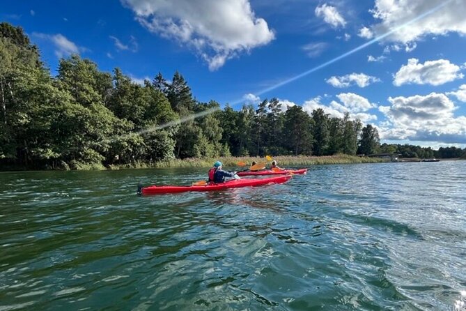 Kayak Tour in the Stockholm Archipelago with Lunch Meal - Swedish Fika After Kayaking: Coffee and Pastries