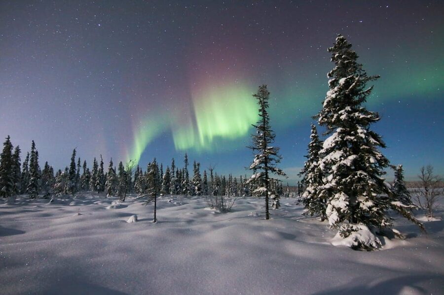 Kiruna: Northern Lights Minivan Chase with Warm Drink - How the chase works: drive, watch, and learn about the aurora