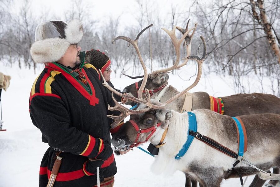 KIRUNA: Sami Reindeer Experience - Price and value for a 3-hour Kiruna experience