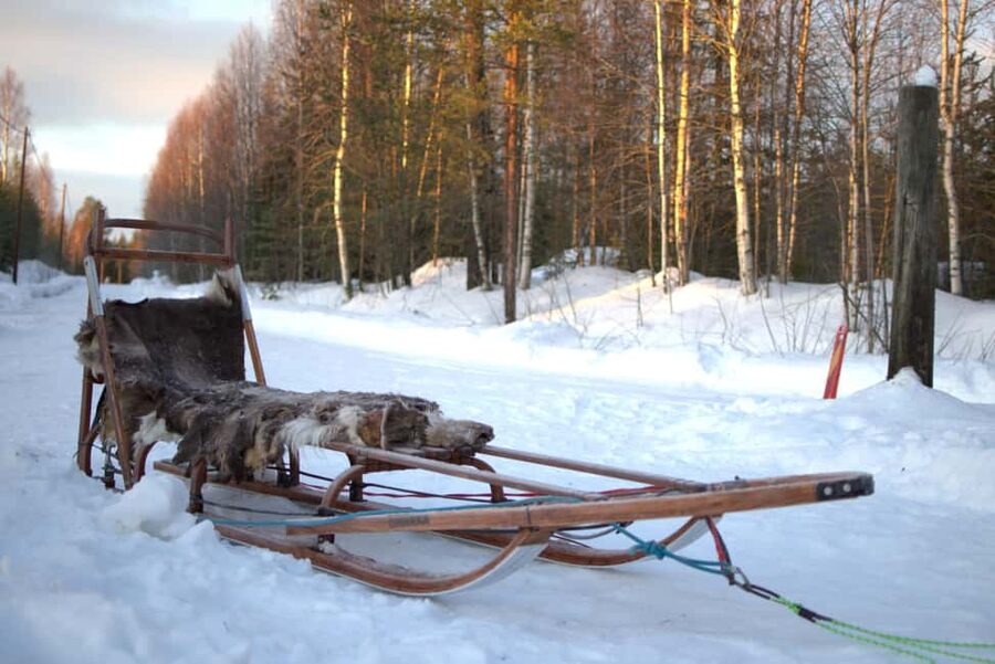Luleå: Guided Dog Sledding Tour - Open-fire coffee afterward: the cozy reset you’ll be glad you planned for