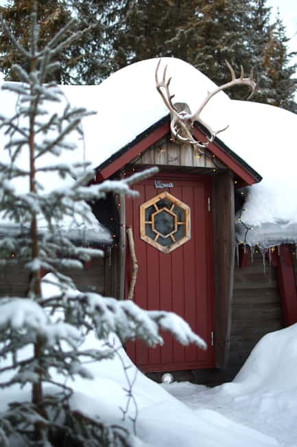 Luleå: Guided Dog Sledding Tour - Price and value: is $188 per person fair here?