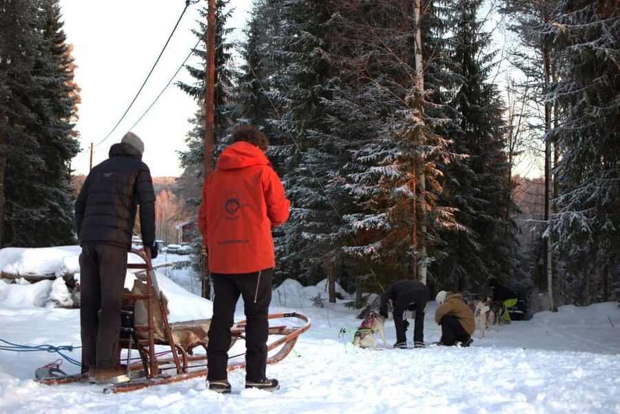 Luleå: Guided Dog Sledding Tour - What to bring so you stay comfortable the whole time