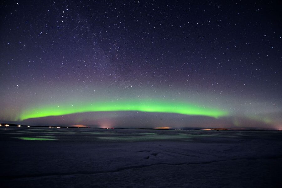 Luleå : Northern Lights Tour on a Snowmobile drawn Sled - What You Learn on the Route: Sea, Forest, Wildlife, and Arctic Life