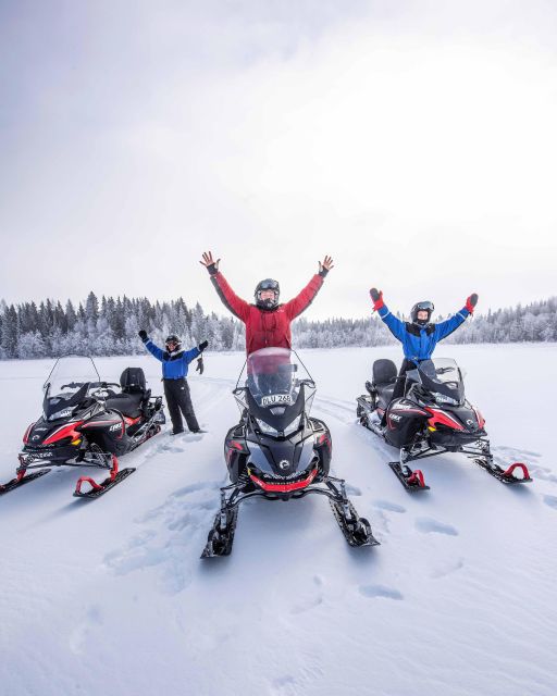 Luleå : Snowmobile - Forest and Ice Nature Tour 2h - Key highlights you will feel right away