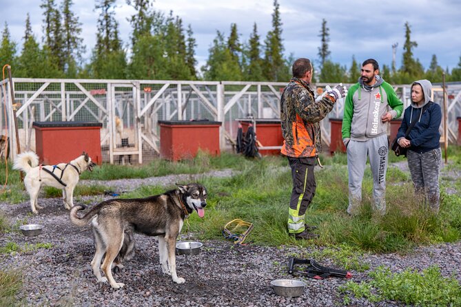 Meet 70 Huskies and Enjoy a short ATV Tour with the Huskies - Where You Start Near Alttavaaravägen 10, and How the Timing Works