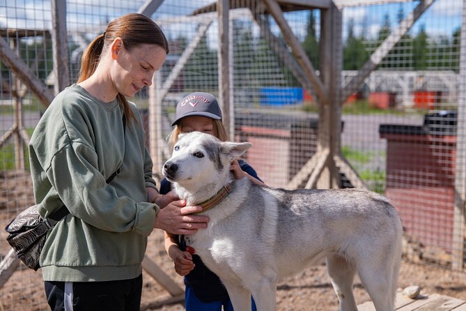 Meet 70 Huskies and Enjoy a short ATV Tour with the Huskies - Who Should Book This Husky and ATV Tour (and Who Might Skip It)