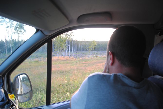 Moose safari in the wild Sweden Tiveden - Why Tiveden Makes This Moose Safari Feel Less Like Guessing