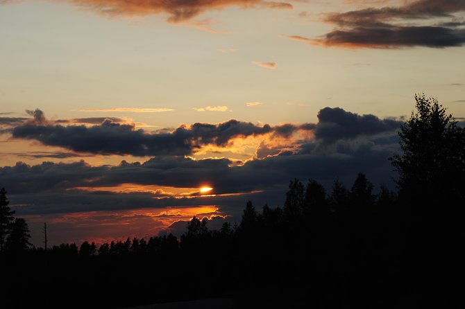 Moose safari in the wild Sweden Tiveden - Price and Value: What You’re Really Paying For at About $134.45
