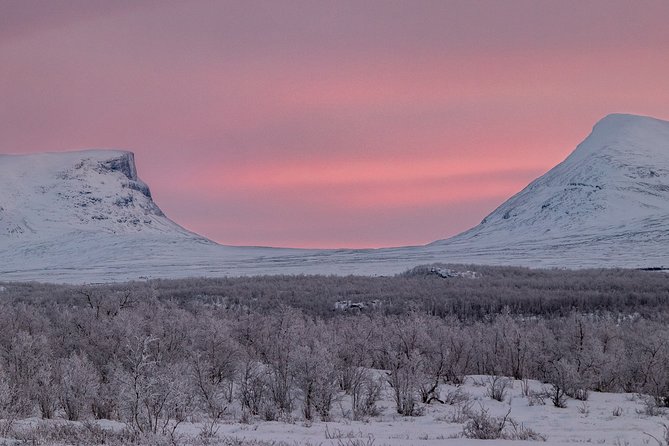 Morning hike in Abisko National Park - Wildlife Spotting That’s Based on Signs, Not Just Luck