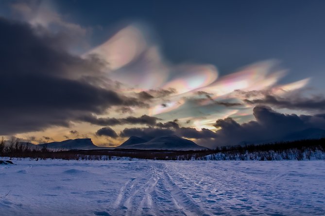 Morning hike in Abisko National Park - Guide Style Matters: Lights Over Lapland and the Human Touch