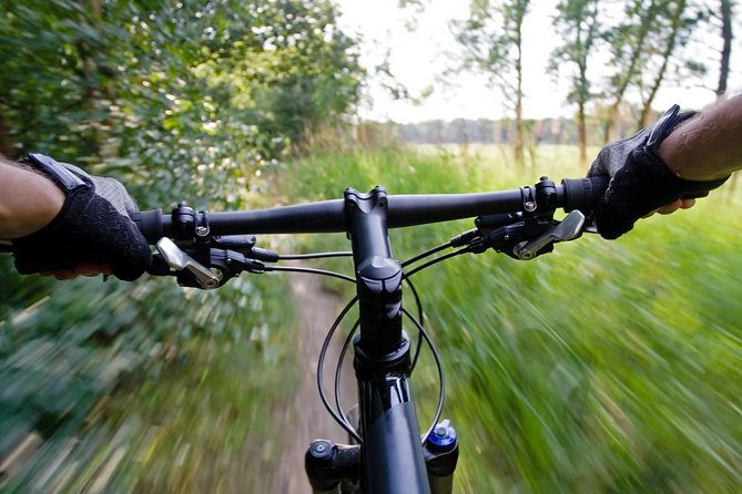 Mountain Biking Small-Group in Stockholm Forests for Beginners - Why Nackareservatet mountain biking fits a beginner day from Stockholm