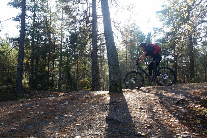 Mountain Biking Small-Group in Stockholm Forests for Beginners - Your MTB setup: bikes, helmet, and safety that lets you focus on learning