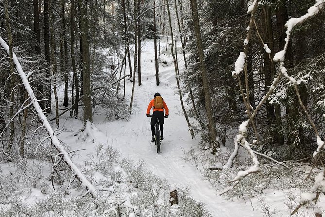 Mountain Biking Small-Group in Stockholm Forests for Beginners - How hard is it for beginners, really?