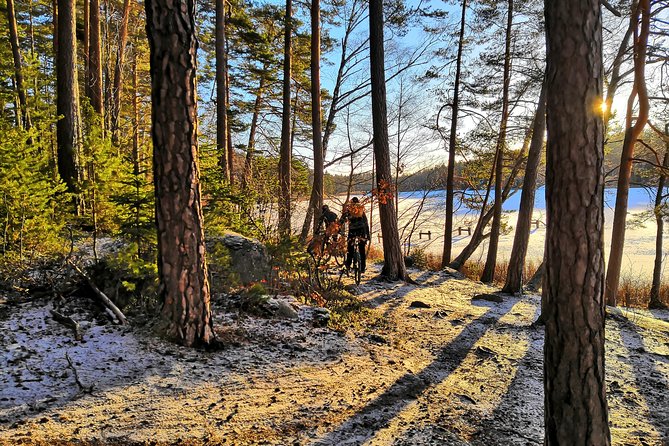 Mountain Biking Small-Group in Stockholm Forests for Beginners - Price and value: what $144 really covers