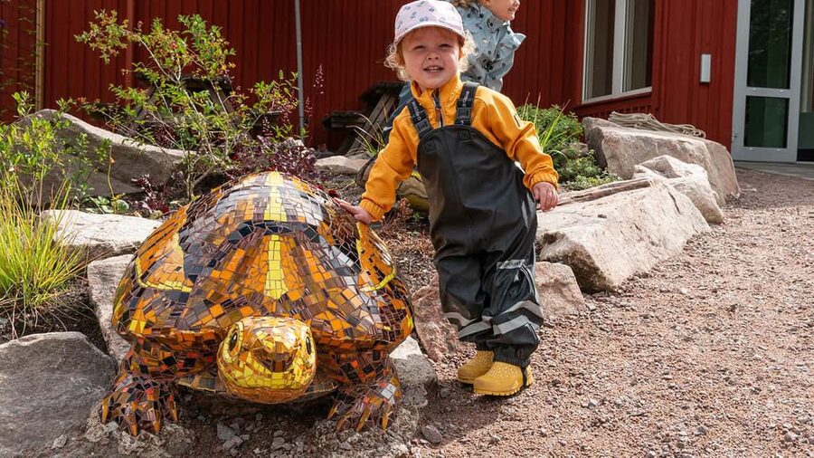 Nordens Ark Entry Ticket - Wildlife Area: birds, turtles, and the thrill of rare sightings