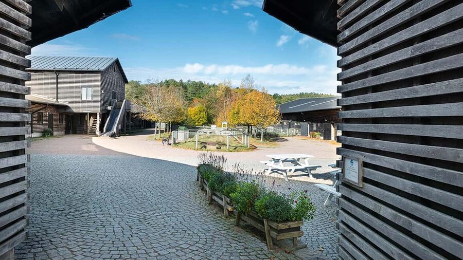Nordens Ark Entry Ticket - Turtle Ark: a conservation-focused stop you will want to slow down for
