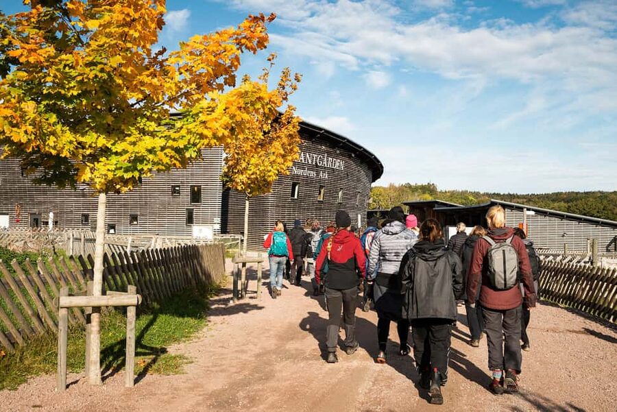 Nordens Ark Entry Ticket - Summer days and weekend guided tours: when the park feels extra alive