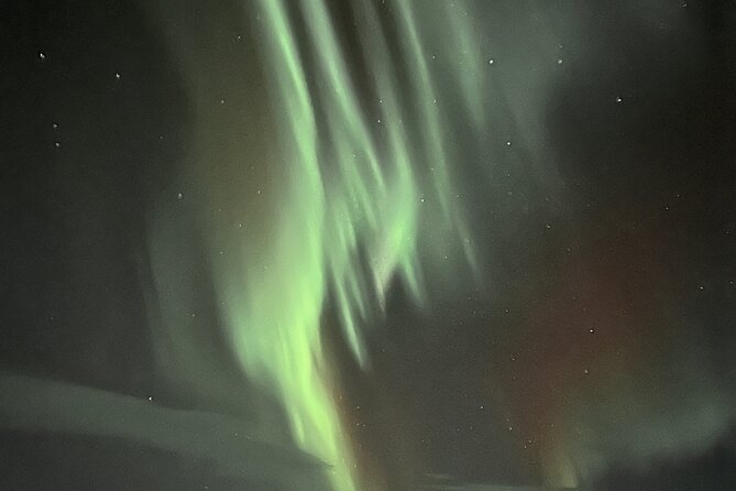 Northern Light hunt with minibus to Abisko 7:30 pm - Warm drinks and sweet extras: staying comfortable without missing the sky