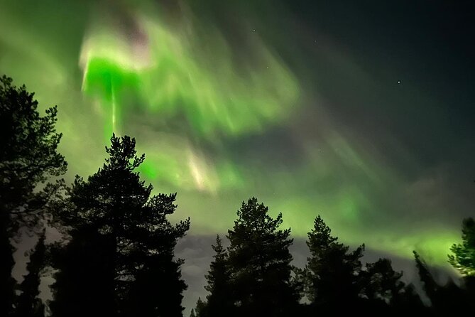 Northern Light hunt with minibus to Abisko 7:30 pm - Aurora photography help: night exposure and tripod tips