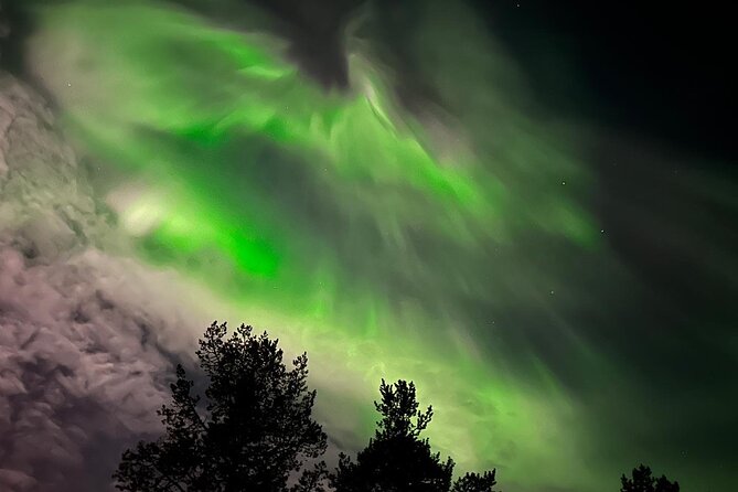Northern Light hunt with minibus to Abisko 7:30 pm - Route rhythm: how the stop-and-drive pattern affects your chances