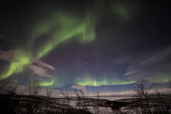 Northern Light Photo tour - Price and Value at About $225 for a 4-Hour Skill-Built Night