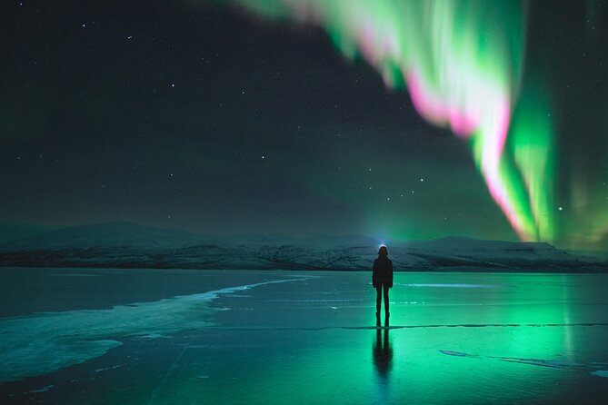 Northern Lights Photo Expedition Dinner Included from Abisko - Key highlights worth your attention