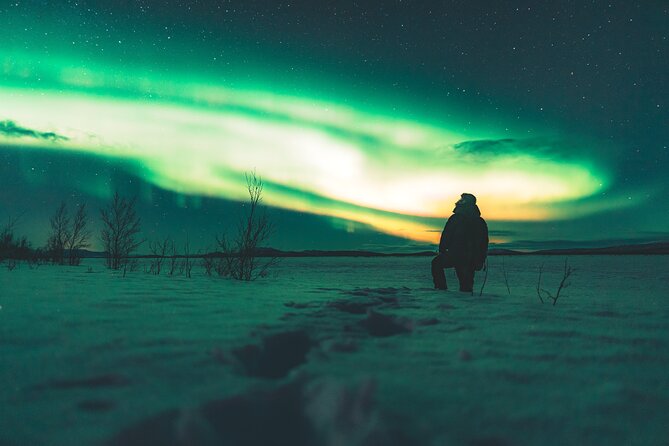 Northern Lights Photo Expedition Dinner Included from Abisko - The warm break by fire, and why it matters in October